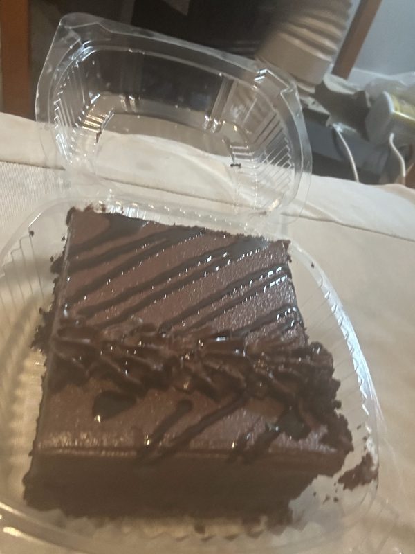A slab of chocolate cake with dark ganache